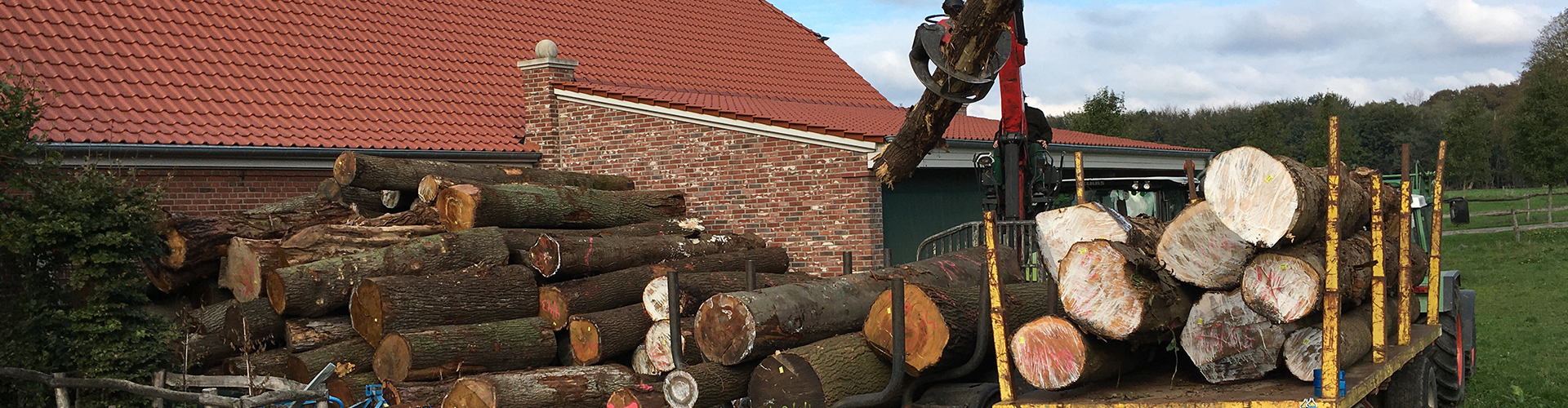 header-home.jpg